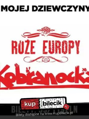 Kobranocka i Róże Europy w Rzeszowie